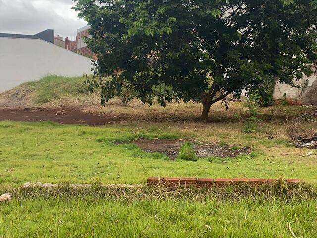 #150544 - Terreno para Venda em Maringá - PR - 3